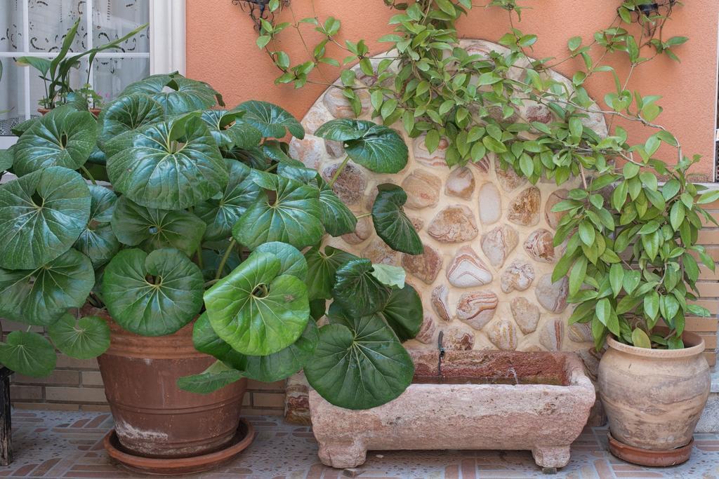 Hotel La Posada La Palma  Екстериор снимка